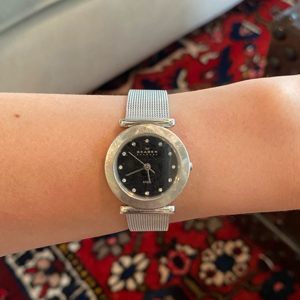 Skagen Watch